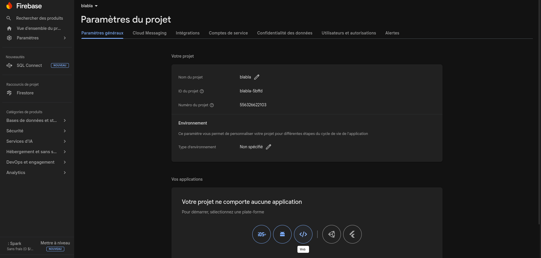 Firebase — register web app